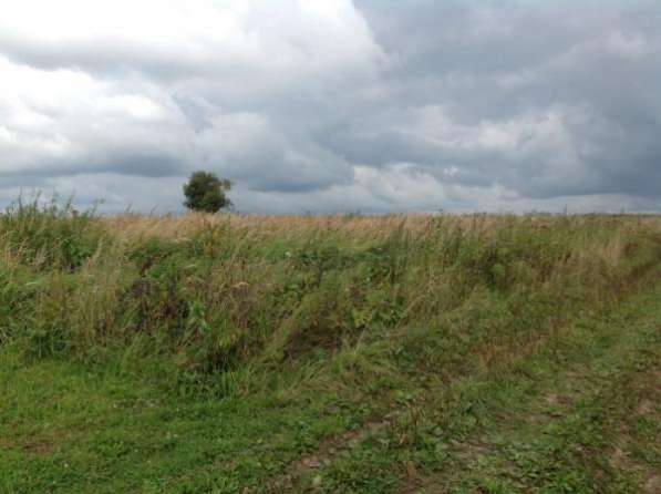 Продается земельный участок 12 соток в д. Шваново, Можайский р-н,140 км от МКАД по Минскому, Можайскому шоссе. в Можайске фото 5