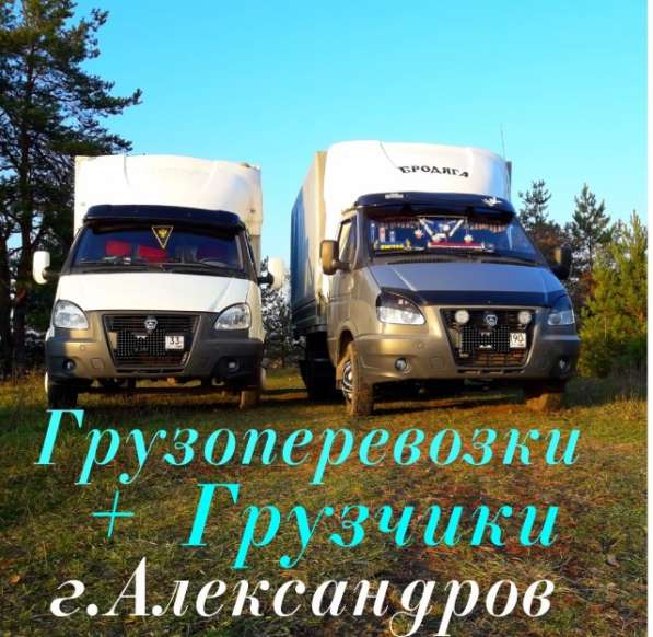ГРУЗОПЕРЕВОЗКИ +ГРУЗЧИКИ в Александрове фото 3