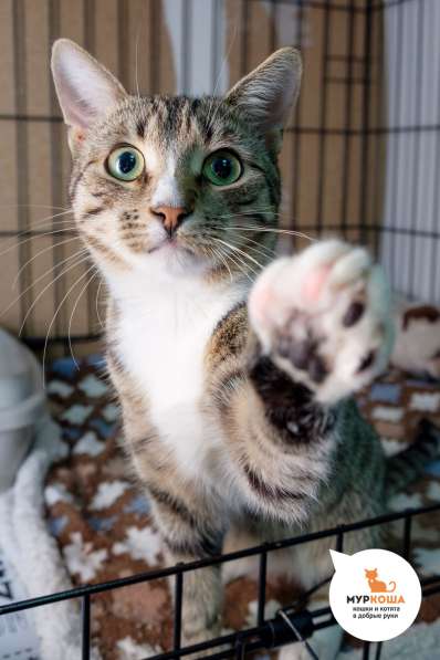 Тейлор хочет сделать вас счастливее в Москве