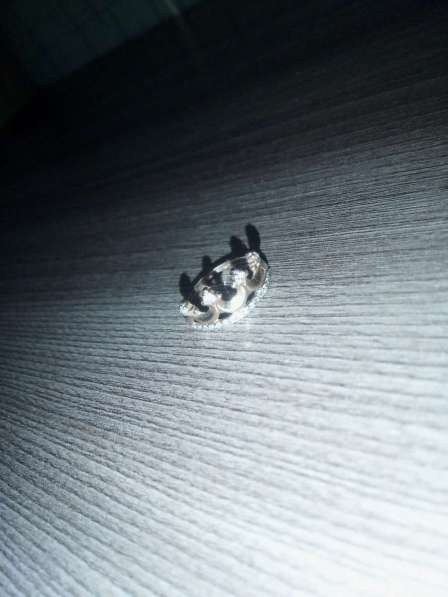 Золотое кольцо в Санкт-Петербурге