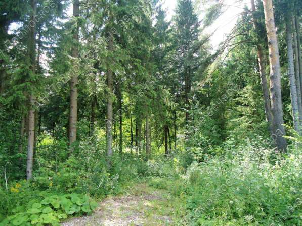 realty_mapper3.plot_in_locationСадовое некоммерческое тов-во. Площадь 20.00 сот.Есть Электричество. в Москве фото 18