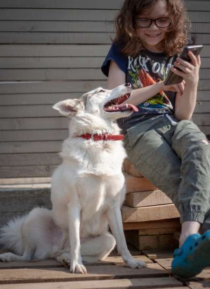 Маленькая белая пушистая собачка Шарлотта в добрые руки в Москве фото 4