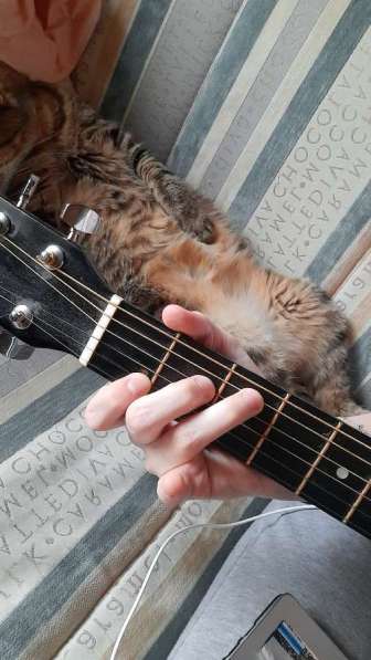 Обучение игры на гитары / преподаватель гитары в Перми фото 4