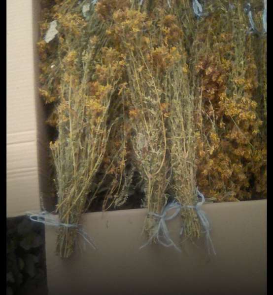 Веники запарки соли травы в фото 6