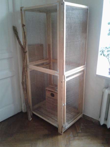 Домик для белки в Санкт-Петербурге