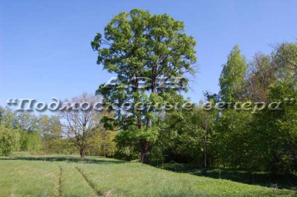 realty_mapper3.plot_in_locationСадовое некоммерческое тов-во. Площадь 15.00 сот.Есть Электричество. в Москве фото 26