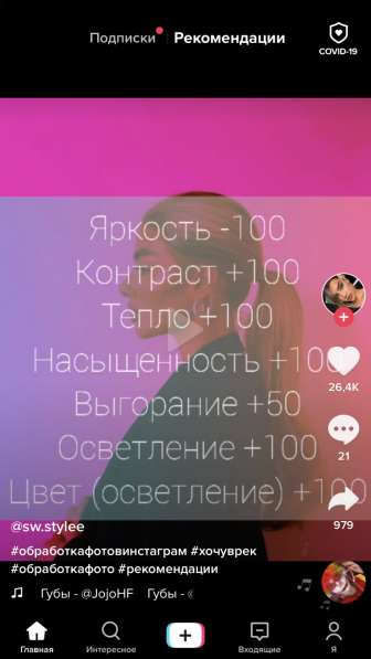 Британские котята в Перми
