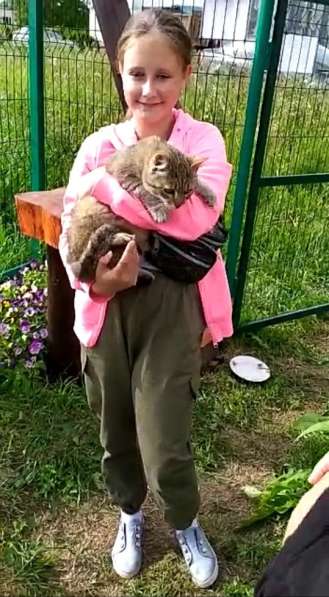 Ласковый мурлыка в Санкт-Петербурге фото 33