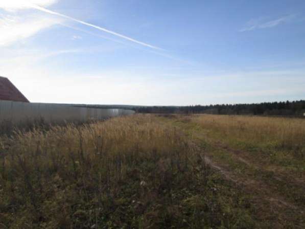 Земельный участок 30 соток в д. Шохово, Можайский р-он, 130 км от МКАД по Минскому, Можайскому шоссе.