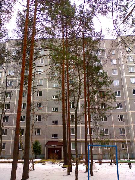 Просторная квартира в поселке Энергетик в Конаково фото 4
