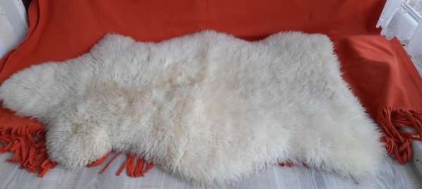 Продаю шкуру овцы (Нидерланды) Максимальные размеры 97х55
