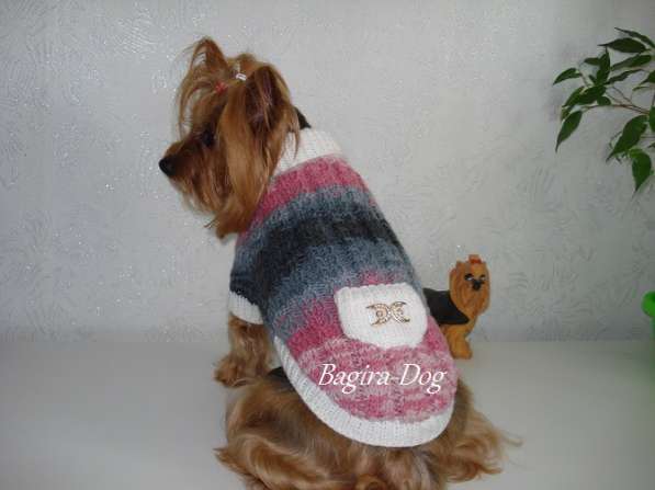 Свитера для собак ручной работы в Москве фото 14