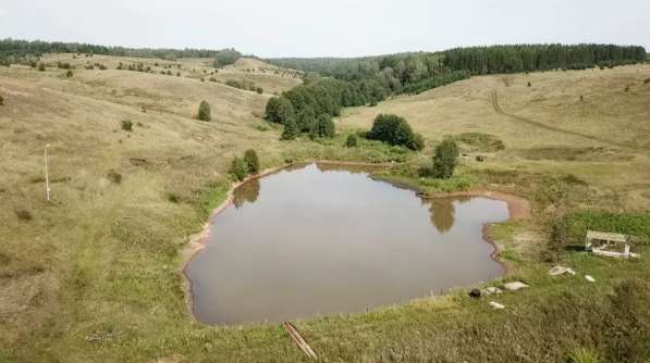 Земля с прудом в с. Еремеево, 2 Га в собственности в Уфе фото 7
