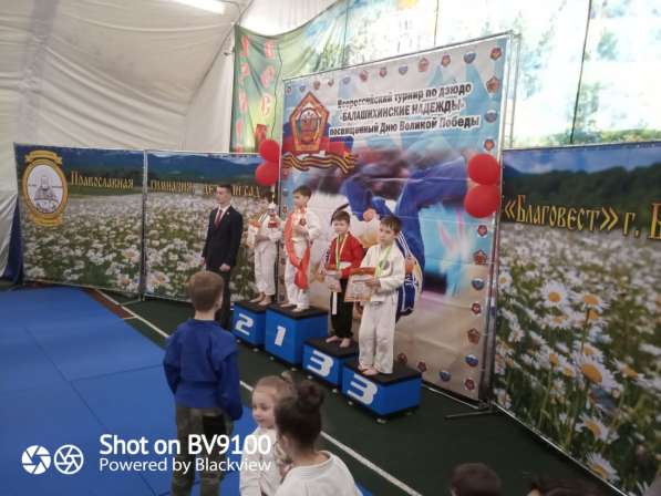Абиссинские котята клубные в Балашихе фото 7