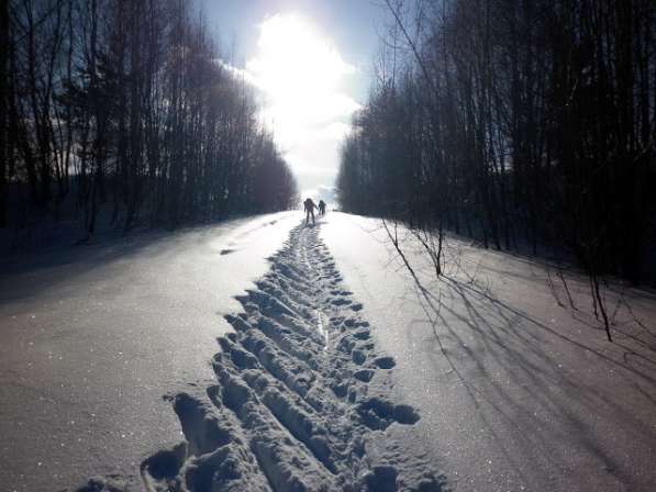 Ох, уж эти Новогодние сказочки. в Костроме 3дн в Москве фото 5