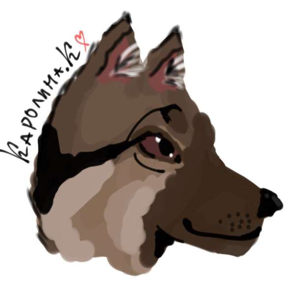 Рисунок домашнего животного в Москве