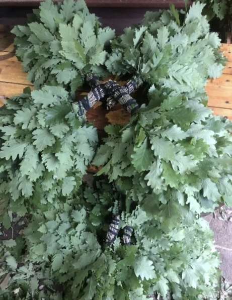 Вязальщицы