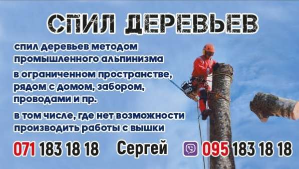 Валка, спил любых деревьев в фото 3