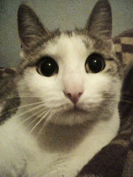 Ищу работу механика, предложенное