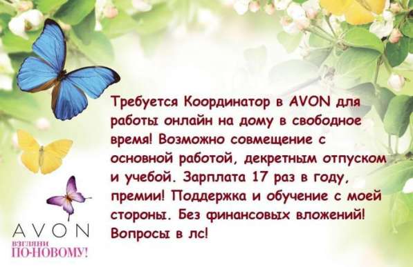 Координаторы и Представители