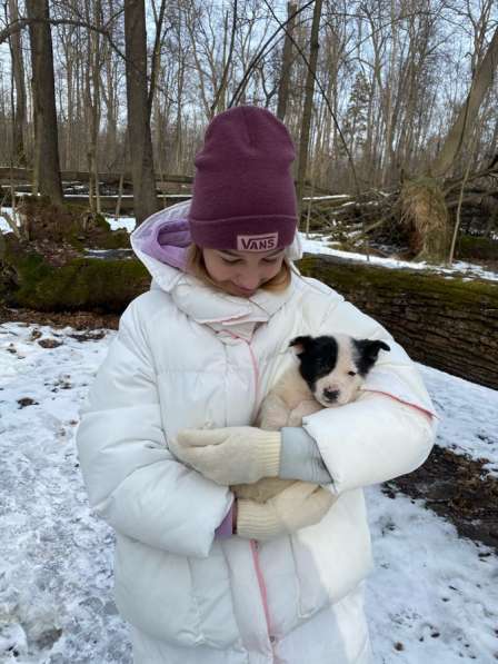 Ответственность