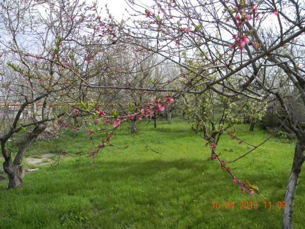 Дом в супсехе в Краснодаре фото 7