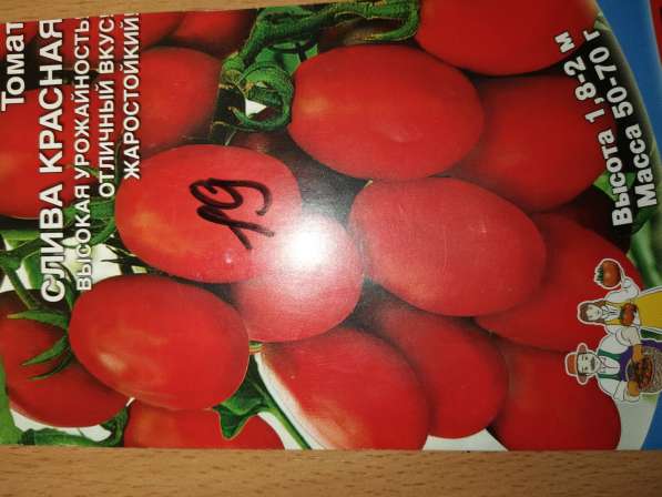 Рассада томатов и перцев в Балахне фото 6