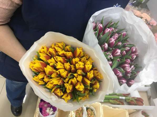 Голландские тюльпаны оптом в Екатеринбурге