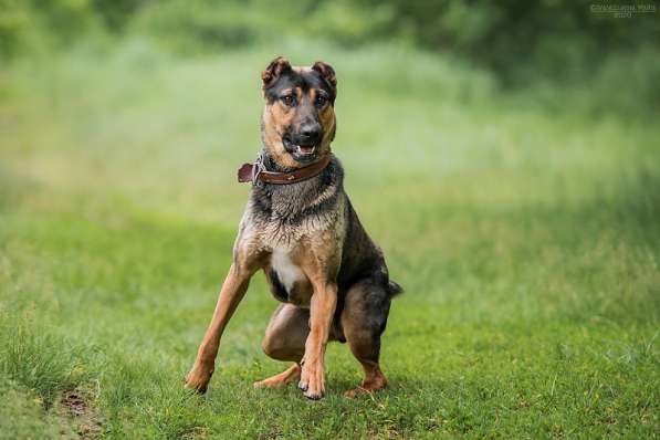 Брюс ищет семью в Москве фото 20