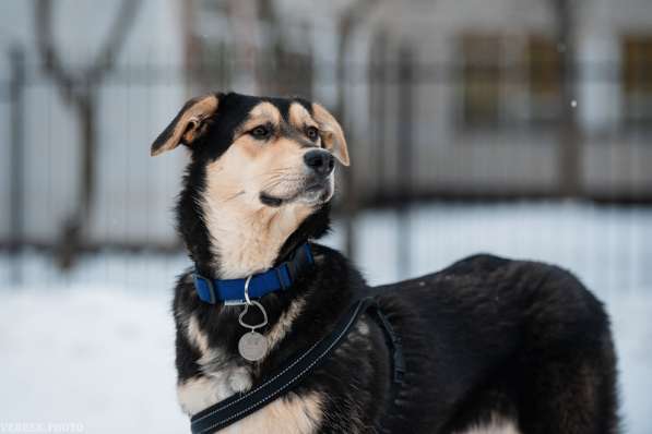 Рада &mdash; кареглазая красавица, полная любви, доброты в Москве фото 9