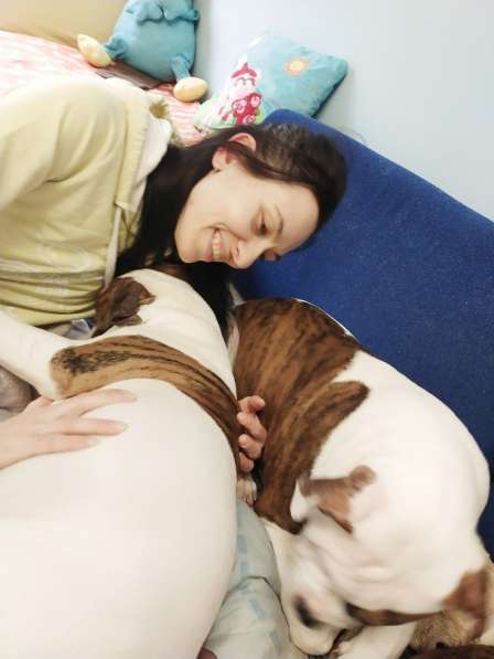 Продам щенка щенков Американского Бульдога FCI в фото 14