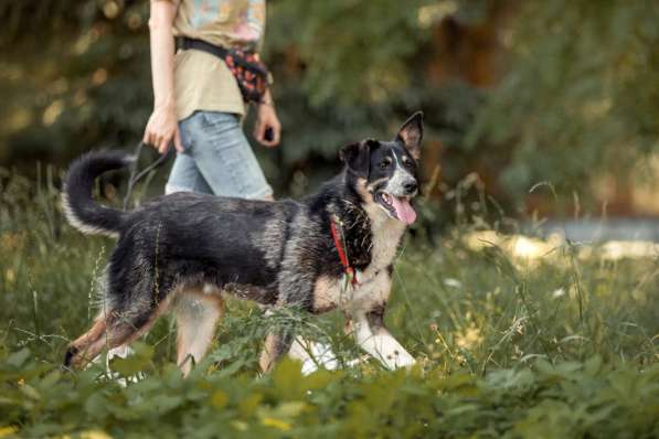 Том ищет дом в Москве фото 12