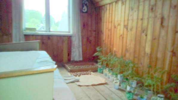 Участок 6 соток с небольшим домиком в Киржаче фото 7