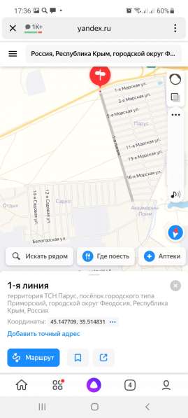 Пропала собака йоркширский Терьер в Ростове-на-Дону