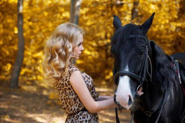 Катания на лошадях, конные прогулки, прокат лошадей в Ростове-на-Дону в Ростове-на-Дону
