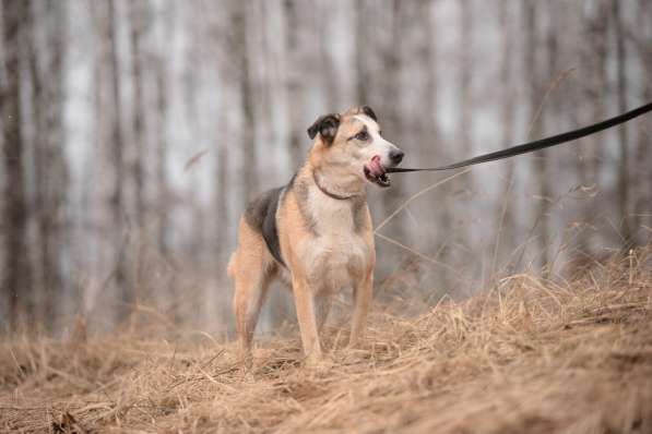 Молодой энергичный Майор ищет семью в Москве фото 48
