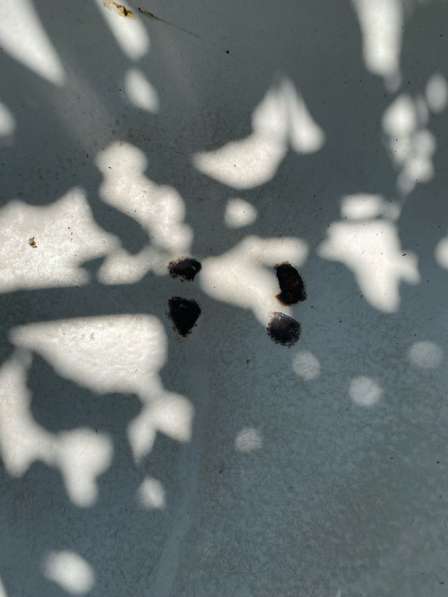 Ванна б/у в Нальчике фото 3