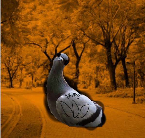 Бестплатные аватарки в Ростове-на-Дону