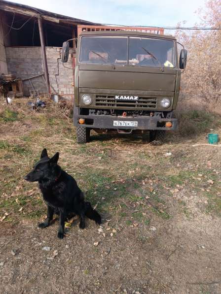 КАМАЗ бортовой 53212