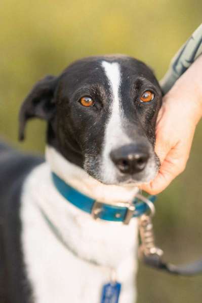 Тихон нуждается в новой истории! в Москве фото 8