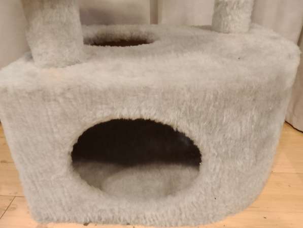 Дом для кота в Санкт-Петербурге фото 3