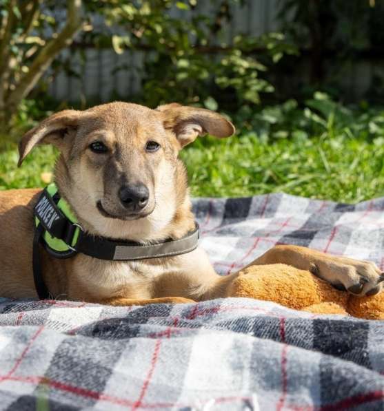 Сироте Марселю нужен дом в Москве фото 10