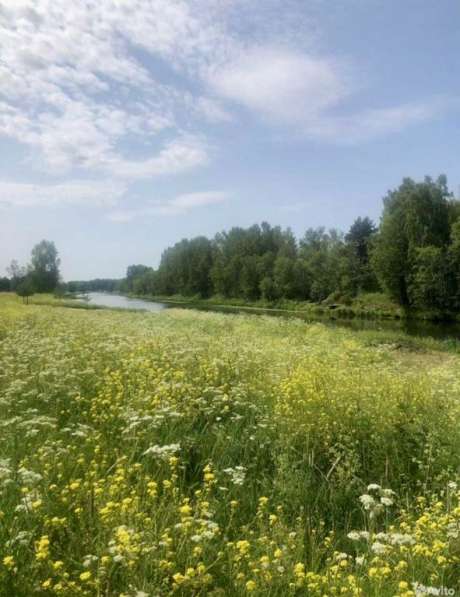 Эксклюзив! Земельный участок в заповеднике Завидово!