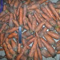 Морковь на переработку, в Ростове-на-Дону