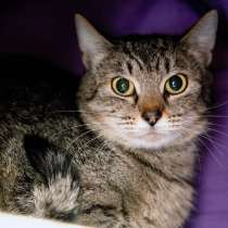 Милая Эвелина в поисках надежного друга, в Москве