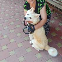 Инна, 50 лет, хочет пообщаться, в Тихорецке