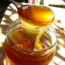 Мёд Крыма, в Саках