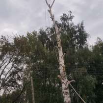 Удаление деревьев, в Рязани
