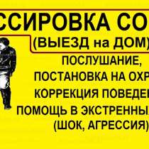 Услуги кинолога, в Москве