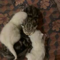 Прохорова,29, в Йошкар-Оле